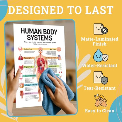 Decorably 16 Biology Posters High School, Elementary Decorations