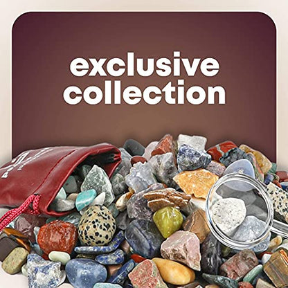 Dan&Darci Rock Collection for Kids - Includes 250+ Bulk Rocks, Gemstones & Crystals + Genuine Fossils and Minerals - 2 Lbs. - Geology Earth Science STEM Toys Activity, Gifts for Boys & Girls Ages 6+