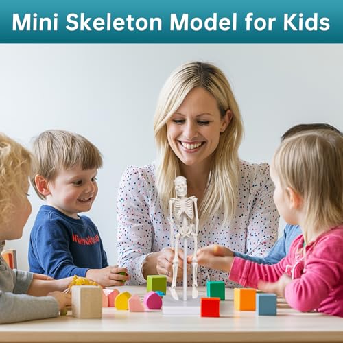 Mini Skeleton Model, 7.8" Small Anatomy Skeleton Figure, Movable Arms and Legs, Human Body Model with Base, Human Bones for Teaching Tool, Decoration (Pack of 2) - size: 7.8" Skeleton model (Pack of 2)