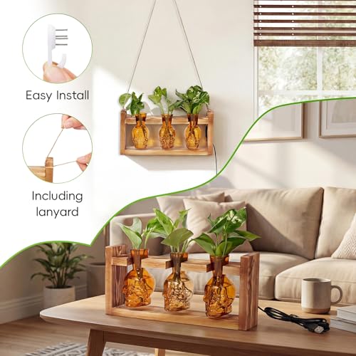 Skull Plant Propagation Station with LED Lights - Halloween Decor Skull Planter, Hydroponics Pot for Office, Unique Gifts for Women & Plant Lovers(Amber)