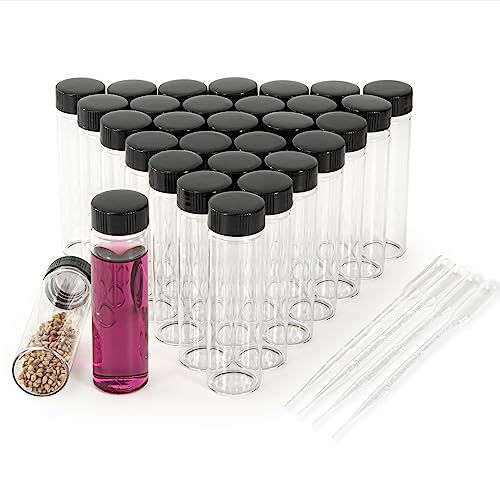 40ml Clear Small Glass Vials 30pcs with Screw Caps(30pcs) - color: Clear, size: 40ml 30pcs