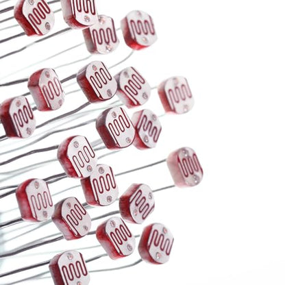EBOOT 30 Pieces Photoresistor Photo Light Sensitive Resistor Light Dependent Resistor 5 mm (5516) - style: 5516