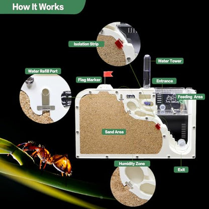 Ant Farm Castle - Ant Farms for Kids with Yellow Sand Complete Tool Kit, Live Ants Habitat Science Kit - Great Gift for Boys, Girls and Student