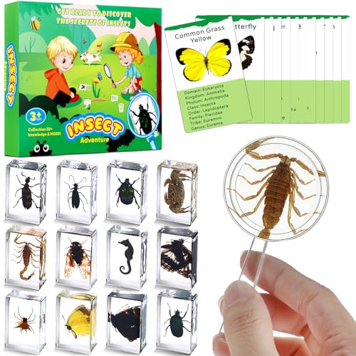 Briwooody 12 Pcs Insect in Resin Specimen, Bugs Collection, Mix - style: Mix