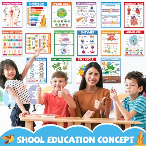 ZOIIWA 16pc Science Posters - Biology & Life Science Charts for Classroom & High School Education