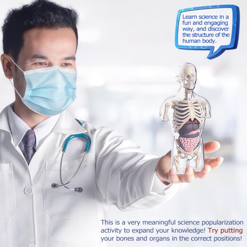 4D Anatomy Model Human Half Body,Clear Human Body Structure Model Include Bones,Organs,Muscles,Removable Human Organ Model for Study,Teaching Demonstration,Science Early Learning