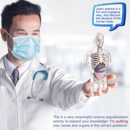 4D Anatomy Model Human Half Body,Clear Human Body Structure Model Include Bones,Organs,Muscles,Removable Human Organ Model for Study,Teaching Demonstration,Science Early Learning