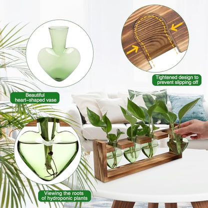 Plant Propagation Stations Heart Plant Terrarium Kit - color: Green