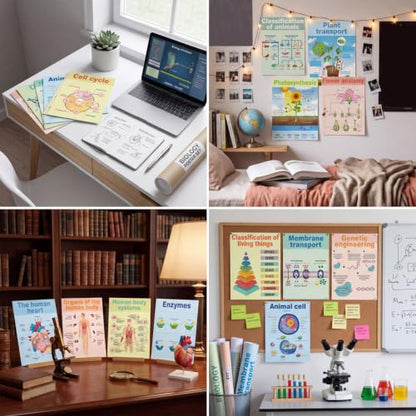 Pajean 16 Pcs Science Biology Posters, Biology Classroom Decoration