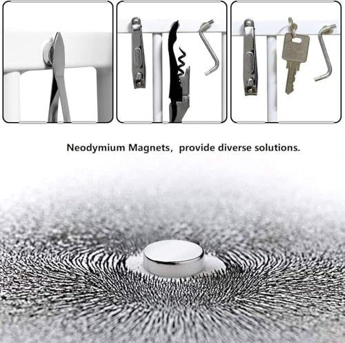 rhinocats 100Pcs Small Strong Magnets，8x2mm Refrigerator Magnets - size: 8x2mm - 100Pcs