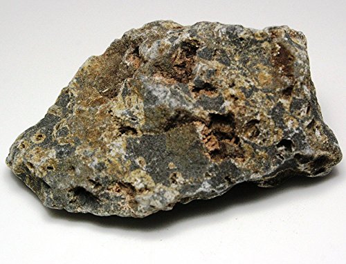 Breccia Rock Mineral - 2 Unpolished Rock Mineral Specimens