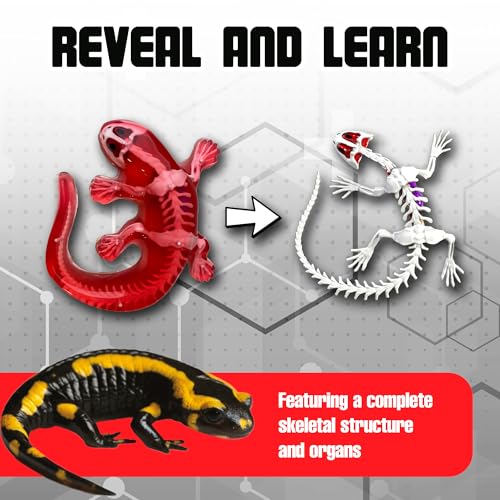 Top Secret Toys Dissect-It Mini Labs Salamander Dissection Kit for Kids, Realistic Synthetic Kids Science Kit - On, Biology and Animal Anatomy, STEM Toy, Ages 6+ - style: Mini Salamander