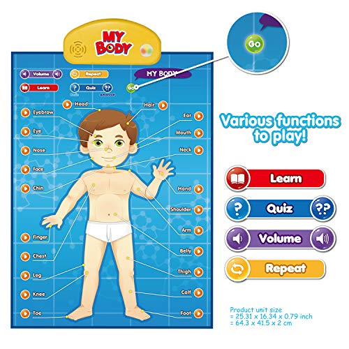 BEST LEARNING i-Poster My Body - Interactive Talking Human Anatomy Toy - style: My Body