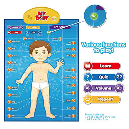 BEST LEARNING i-Poster My Body - Interactive Talking Human Anatomy Toy - style: My Body
