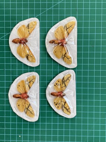 4 Real Milky Tiger Moth Specimens Unmounted Open Wings BU14X4 - color: 4 Butterfly #14