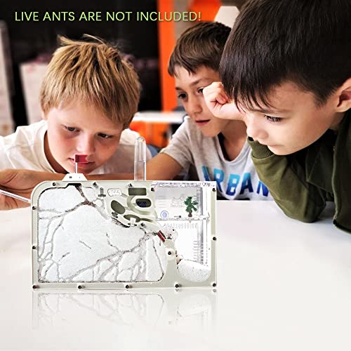 Ant Farm Castle, Ant Farm for Kids, Ant Colony Habitat Science Learning Kit - color: Ant Castle a