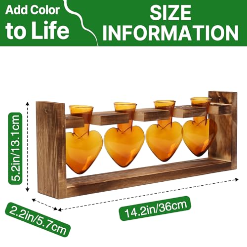 Plant Propagation Stations Heart Plant Terrarium Kit - color: Amber