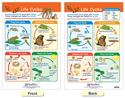 NewPath Learning-94-1501 All About Animals Bulletin Board Chart Set (Pack of 5)