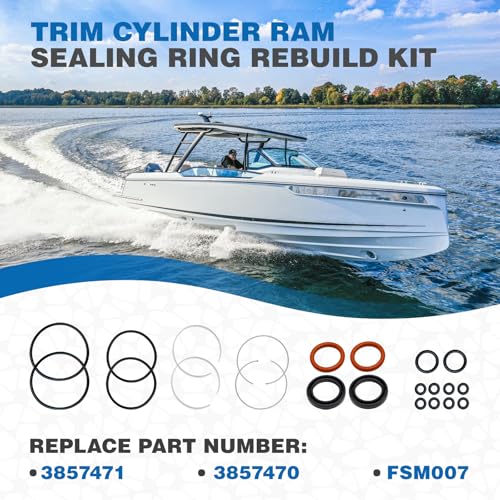 3857471 Trim Cylinder Ram Sealing Ring Rebuild Kit Compatible with Volvo Penta SX DPS - M Cylinder Cap O-Ring Seal Replaces 3857470 FSM007