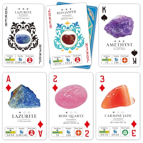 PIBEX Rock Collection Starter Kit, 54 Rocks & Minerals with Name Labels - style: 54PC Starter Edition