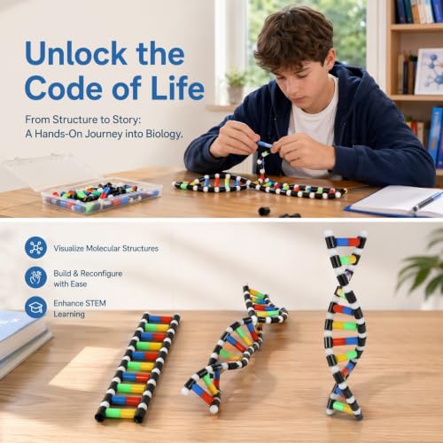 DNA Model Kit, Double Helix Biology Classroom Model for Classroom
