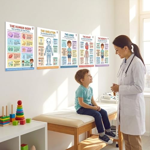 JELLY BEAN GENIUS Human Body Posters Complete Set of 13 – Laminated Dry-Erase Anatomy Charts for Classroom & Homeschool | Organs Systems Science Educational Wall Posters 8.5x11 - color: Human Body Complete Set of 13