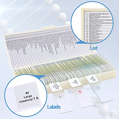 60 Microscope Slides with Specimens for Kids, Prepared Microscope Slides for Kids Microbiology, Prepared Microscope Slides for Adults - size: 60pcs