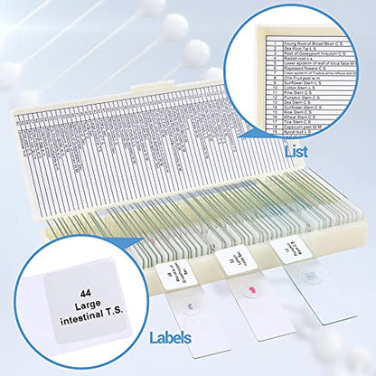 60 Microscope Slides with Specimens for Kids, Prepared Microscope Slides for Kids Microbiology, Prepared Microscope Slides for Adults - size: 60pcs