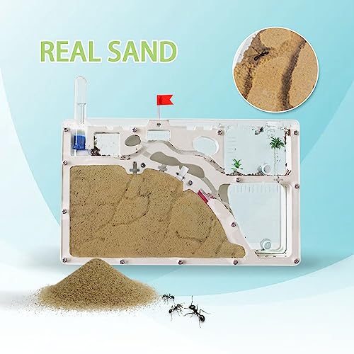 ELNMLHT Ant Farm Castle, Ant Farms with Yellow Sand and Tool Kit, Ant Colony Observation Kit, Ant Viewing Habitat Science Kit, Educational & Learning Science Kit for Kids, Adults, Student - color: Ant Farm a