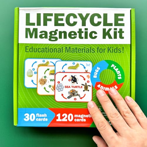 Life Cycle Toys for Kids — Magnetic Flash Cards Science Kits for Kids 3-5