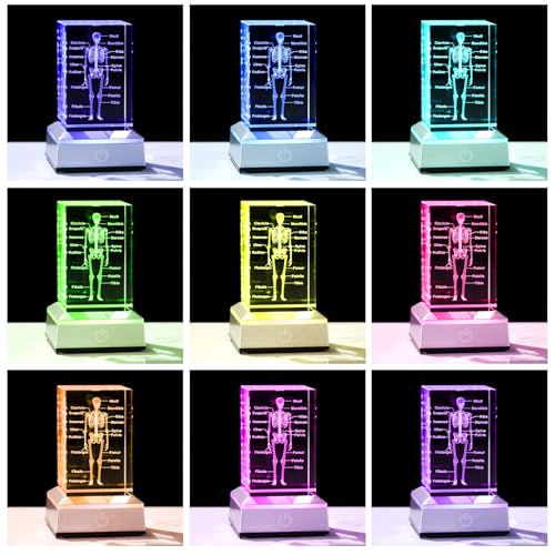 3D Crystal Human Skeleton Anatomy Model Medical Decor Gifts for Doctor, Laser Etched Science Biology Figurine Paperweight Psychology Graduation Gifts for Medical Students with LED Base - color: Skeleton