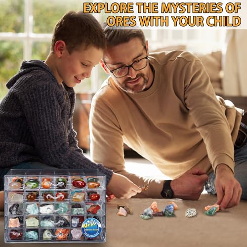 Rock Collection Display Case, 120 Grid Storage Organizer for Collectibles - size: 5C layers