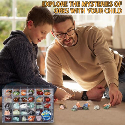Rock Collection Display Case, 120 Grid Storage Organizer for Collectibles - size: 5C layers