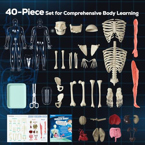 GobiDex Human Body Skeleton Model Kit, Glow in The Dark Science Kit for Kid