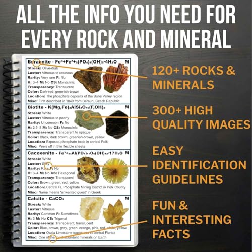 Florida Rocks & Minerals Identification Field Guide | Waterproof