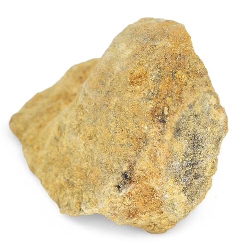 EISCO Raw Dolostone, Sedimentary Rocks - Approx. 1" - Geologist Selected & Hand Processed - Great for Science Classrooms