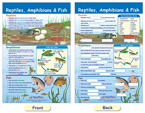 NewPath Learning-94-1501 All About Animals Bulletin Board Chart Set (Pack of 5)