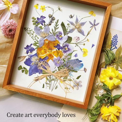 Blotting Paper for Flower Press, 20 Sheets Highly Absorbent and Reusable Blotter Paper for Flower Press Paper Craft 9 x 9 inch