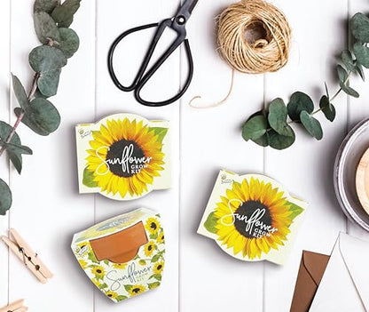 BUZZY Seeds Sunflower Grow Kit 12-Pack, Terracotta Pots, Indoor Garden - color: 12pk Sunflower