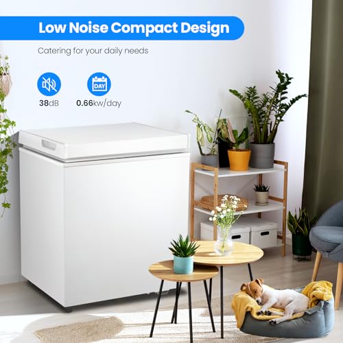 Kismile 2.0 Cubic Feet Chest Freezer, Compact Deep Freezer for Home, White - color: White, size: 2.0 Cu.ft