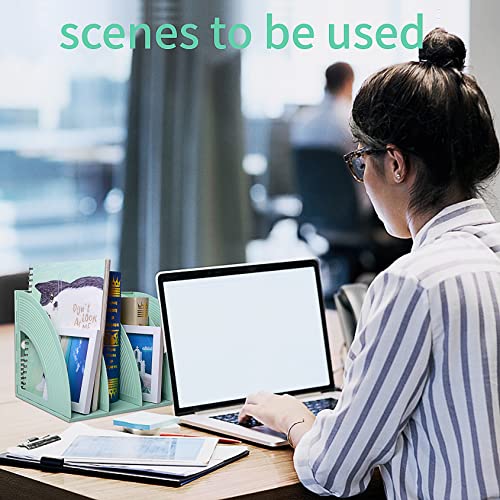 Marte Vanci Magazine File Holder Vertical PP Folder Book Desktop Organizer Plastic Storage Sturdy Vertical 4 Section Folder (Green) - color: Green 4 Section