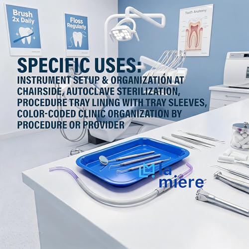 LA MIERE Dental Flat Tray Size F (MINI) - Plastic - 9-5/8" X 6-5/8" X 7/8" Autoclavable Magnetic Blue - color: Magnetic Blue