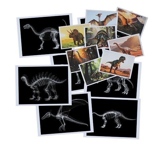 Thematic Animal X-Rays, Set of 16, Simulation Specimen, Science Education Materials for Kindergarten & Preschool, Light Table Accessories, Montessori & Reggio-Inspired (Dinos) - color: Dinos