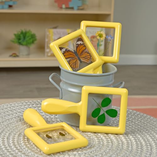Environments Toddler, Preschool Early STEM, Specimen Viewers for Kids, Science Education Set of 4 - style: Specimens Set #4
