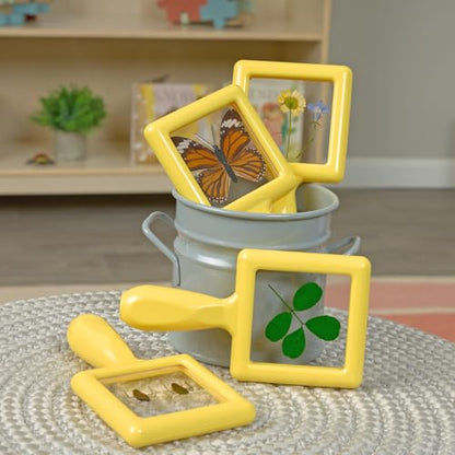 Environments Toddler, Preschool Early STEM, Specimen Viewers for Kids, Science Education Set of 4 - style: Specimens Set #4