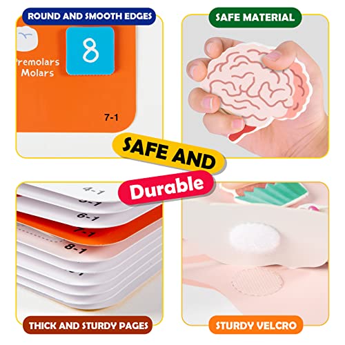 Freebear Montessori Busy Book for Kids, Human Body Anatomy Book for Toddlers, Preshool Kindergarten Learning Activities, Autism Sensory Toys, Travel Toys, Gifts for Girls and Boys 4 5 6 7 8 Years - style: Human structure 1