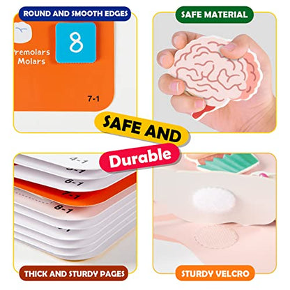 Freebear Montessori Busy Book for Kids, Human Body Anatomy Book for Toddlers, Preshool Kindergarten Learning Activities, Autism Sensory Toys, Travel Toys, Gifts for Girls and Boys 4 5 6 7 8 Years - style: Human structure 1