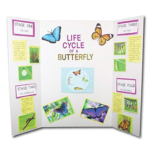 Flipside Products 36” x 48” Project Boards for Presentations, Science Fair, School Projects, Event Displays and Trifold Picture Board, Proudly Made in USA – Bleached White - 24 Pack - color: Bleached White, size: 24 Pack