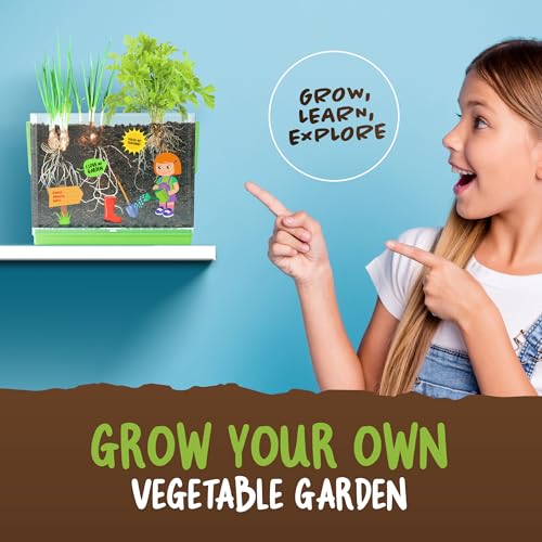 Root Viewer Kit for Kids - Grow Your Own Plant for Boys & Girls Gifts