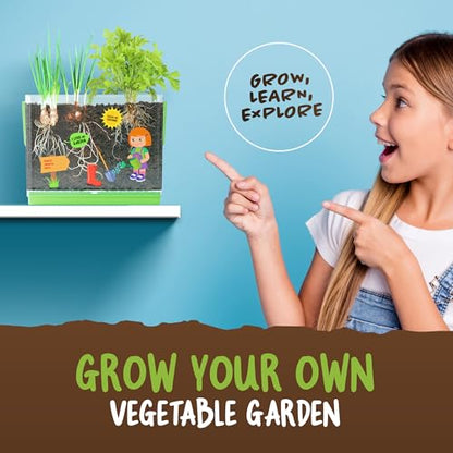 Root Viewer Kit for Kids - Grow Your Own Plant for Boys & Girls Gifts
